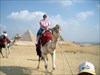 geopig #2 on a camel