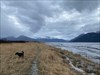 Upper Turnagain Arm at the start of winter. Log image uploaded from Geocaching® app