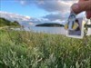 Left in Sweden… have a nice journey Bild aus der Geocaching®-App hochgeladen