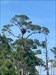 Had a great time adventuring from Indiana to Florida! Got to see a bald Eagle right before dropping this off at its new temporary home! Log image uploaded from Geocaching® app