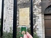 This TB visited Rouen, France! Log image uploaded from Geocaching® app