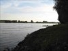 River Rhein