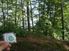 Coin im Wald noch in der Pfalz