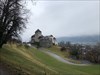 Schloss Vaduz  Bild aus der Geocaching®-App hochgeladen