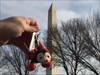 Lady Bug Visits DC Lady Bug goes to Washington!