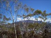View to Mt Wellington across Hobart suburbs