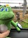 Saw this little guy but we are headed South so I left him to be picked up by another?????? Log image uploaded from Geocaching® app