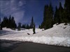 Snow in June while Traveling through Mount Rainer