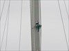 Spidergirl climbs the mast.