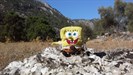 sponge bob hiking in turkey