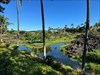 Well metal, it has been a fun ride. I am dropping you here on the tropical island of Hawai’i, also known as the Big Island. You are about 25 miles from Kona at a Hilton resort next to these amazing ponds. Godspeed.  Log image uploaded from Geocaching® app