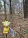 Enjoy some time in the woods at my dog park cache! It’s beautiful here! Log image uploaded from Geocaching® app