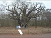 Emergency Unit 911 comes in to Land Emergency Unit 911 lands by the Major Oak in Sherwood Forest ready for its enclosure in the Major Oak Cache.