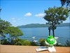 M&M Enjoys the view Post Irene view of Newfound Lake.  Wow what a day!