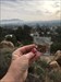 View from Mt. Rubidoux in Riverside, California