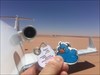 Refuelling in the  Sahara - too hot for a duck!
