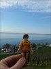  Velma&#39;s journey continues...&#13;&#10;&#13;&#10;This picture shows Velma at Lake &quot;Bodensee&quot; in the very south of germany.Close to the border to switzerland which is just on the opposite site of the lake.Maybe she will make it over the lake???&#13;&#10;Good luck Velma!