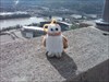 On Top of the World Rocky on top of the Historic Carew Tower in Cincinnati, OH. Notice Bengals Stadium in the background.