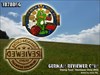 Reviewer only Geocoin