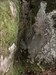 Giants hole upside down. This nature wonder was formed during ice age Geocaching® -sovelluksesta lähetetty lokikuva
