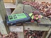  Chip the Beaver with the cache.