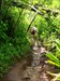 Muddy Trail on Way to Find Oldest Cache in Hawaii