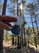 Hello! I just realized that I retrieved you from the Venice beach event! You are now on your way to big bear lake at an oldie cache in the San Bernardino mountains ???  Log image uploaded from Geocaching® app