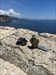 Enjoying the Adriatic coast