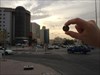 Ladybird photo around Doha _ 3
