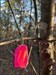 Santagrandpa dropped you in a Texas cache in “The Woodlands” on the last day of 2023.  Wishing you a safe journey! Log image uploaded from Geocaching® app