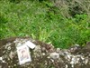 The Quill on Statia, AWESOM EARTH CACHE
