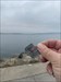 Left in San Diego harbor area.  Log image uploaded from Geocaching® app
