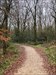 Een wandeling door het bos voor deze multicache in Olderberkoop Logfoto verzonden vanuit de Geocaching®-app