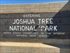 Visited Joshua tree National park and decided to stay with Private Ryan Log image uploaded from Geocaching® app