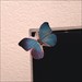 Laptop-Schmetterling