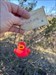 Off you go little duckie! Happy Holidays! Log image uploaded from Geocaching® app
