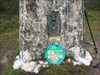 Crazy Race Geocoin at the Trig Point