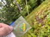 Picked up this cutie back in Maine and decided to drop it off in New Hampshire at a mystery cache that I think will be quite appropriate come and get it!!! Log image uploaded from Geocaching® app