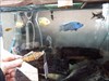 Fishes at Folly Farm Zoo