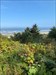 Beautiful day to Geocache on the Oregon coast. View from Bastendorf campground in Charleston.  Log image uploaded from Geocaching® app