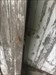I found Sasquatch hiding in a old outhouse I think he will go along with our adventure to Pella this weekend  Log image uploaded from Geocaching® app