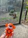 He visited the San Diego Zoo Safari Park today and saw the tigers! Not in the Asian Jungle yet, but hoping someone in San Diego will get him there one day once we drop him off! Log image uploaded from Geocaching® app