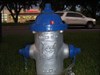 Hydrant on International Drive, Orlando