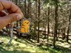Whiskers the Cat Travel Tag [2]