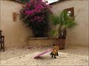 ...at a Finca in Mallorca Puss in Boots Matey visits Mallorca/Spain.