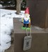 A Gnome named Neil starts his journey