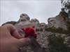 Fuzzy Squirt at Mt. Rushmore