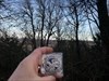 Taking a stroll in the woods. Log image uploaded from Geocaching® app