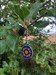 Visit in a rest area along interstate 80 in Indiana on our way to Ohio. Found a geocache right next to a very nice Mulberry Bush. Made for a great little walk and rest. Now to continue our journey back to Ohio. Log image uploaded from Geocaching® app