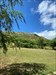 Going for a walk along Diamondhead in Honolulu Hawaii. Log image uploaded from Geocaching® app